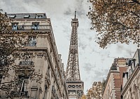 Learn Languages With Clémence h